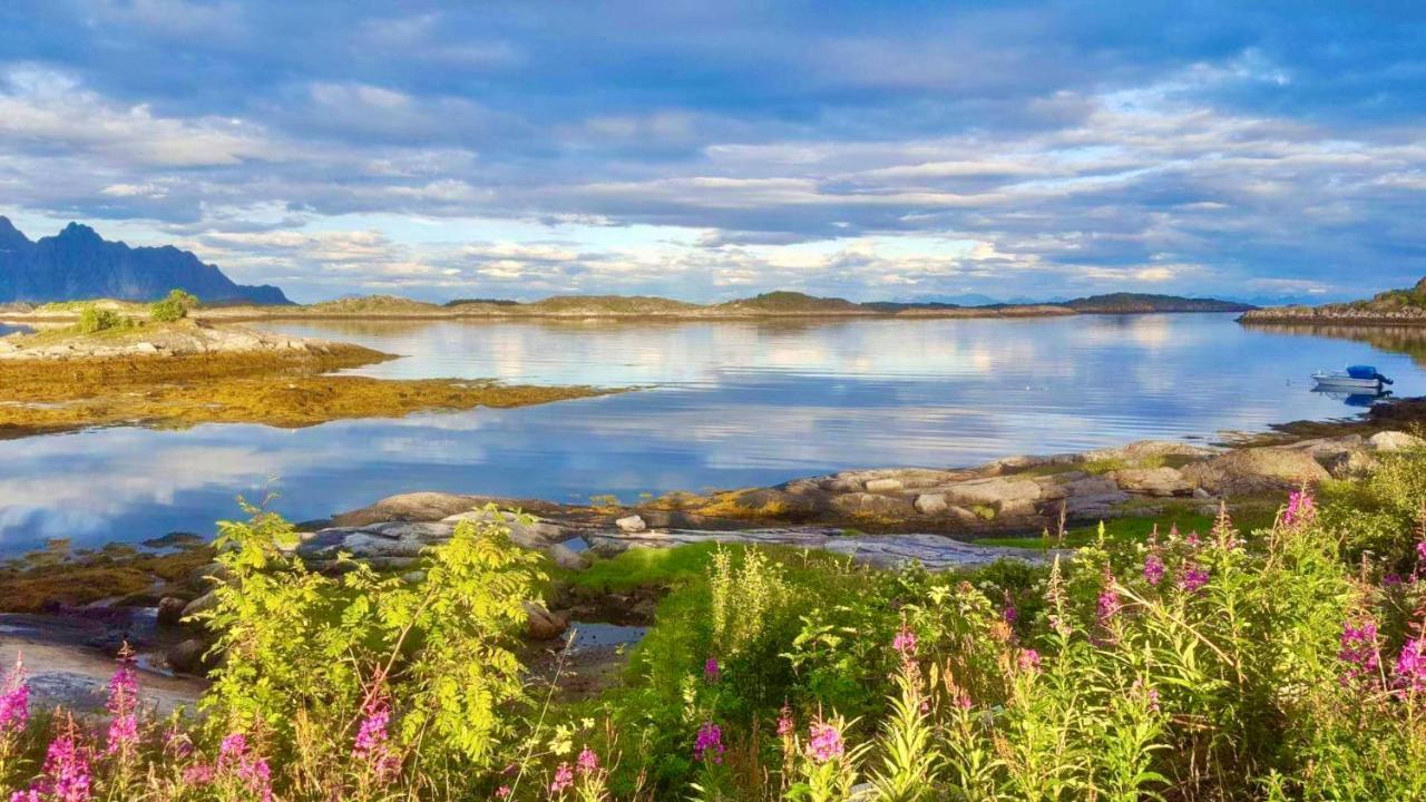 Fishermans Paradise Lofoten Leknes Zewnętrze zdjęcie
